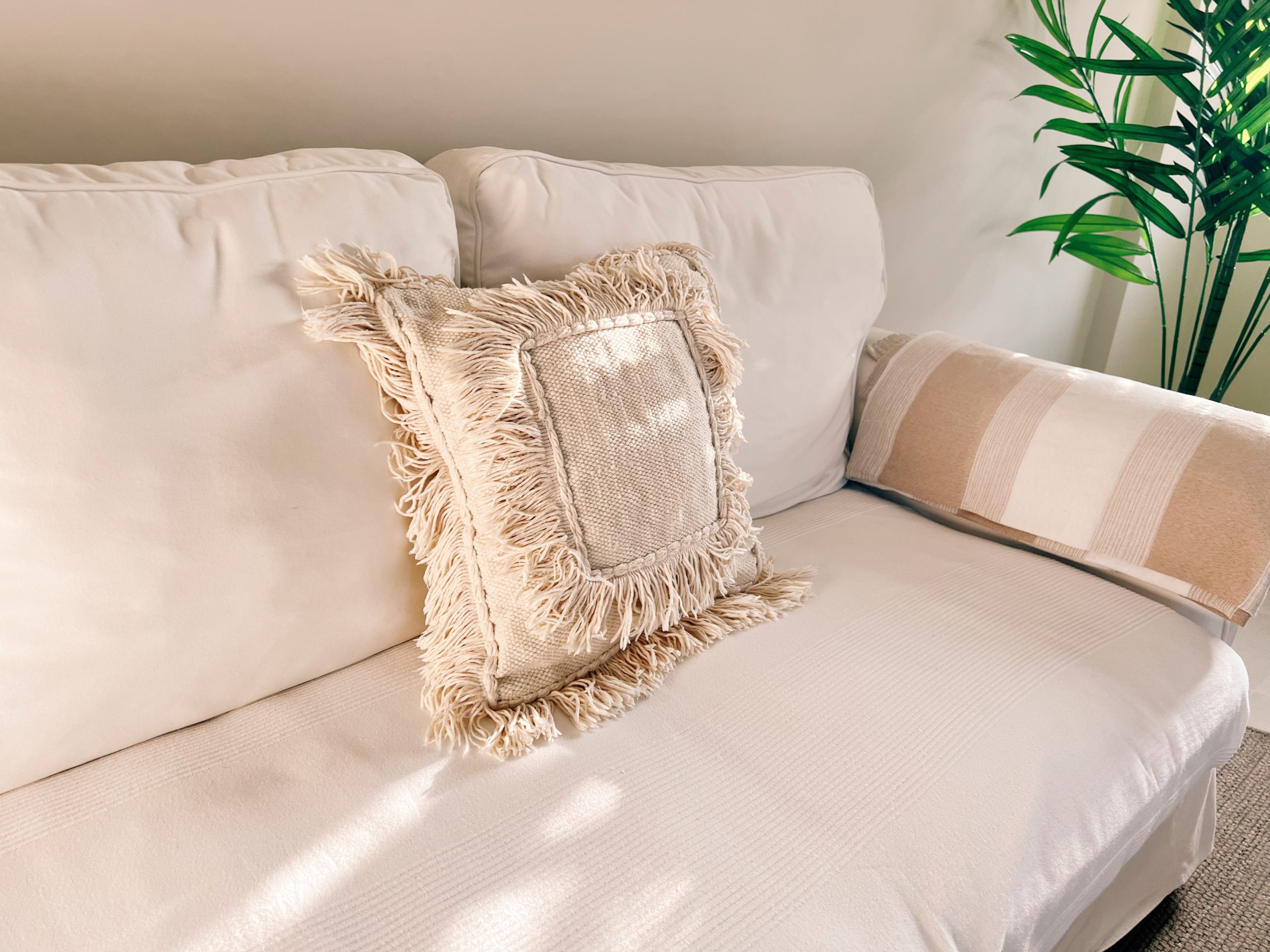 1747412873141 F4451062 DE95 48E9 BB21 8365E56FA415 scaled 1